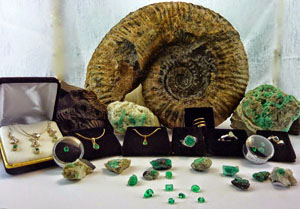 emeralds and fossils to benefit Amazon Pueblo