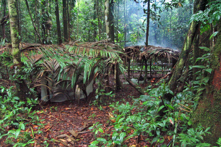 our home in the jungle for two days